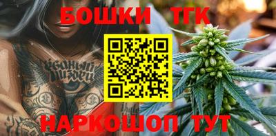 СК Дубна