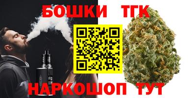 СК Дубна