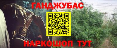 СК Дубна