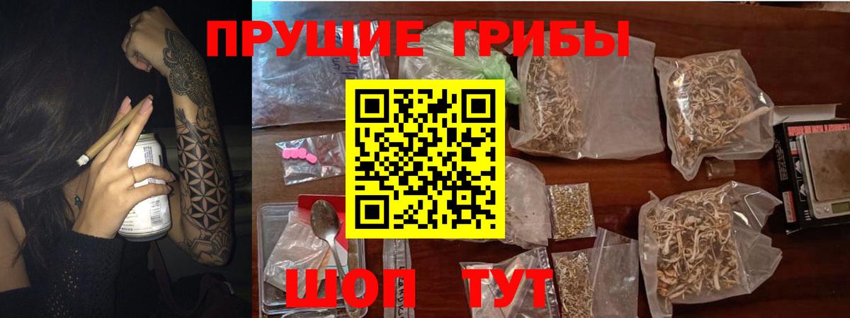 Псилоцибиновые грибы GOLDEN TEACHER Мичуринск